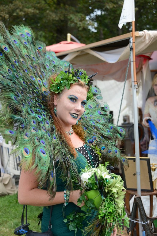 ../Images/Zondag Castlefest 2015 052.jpg